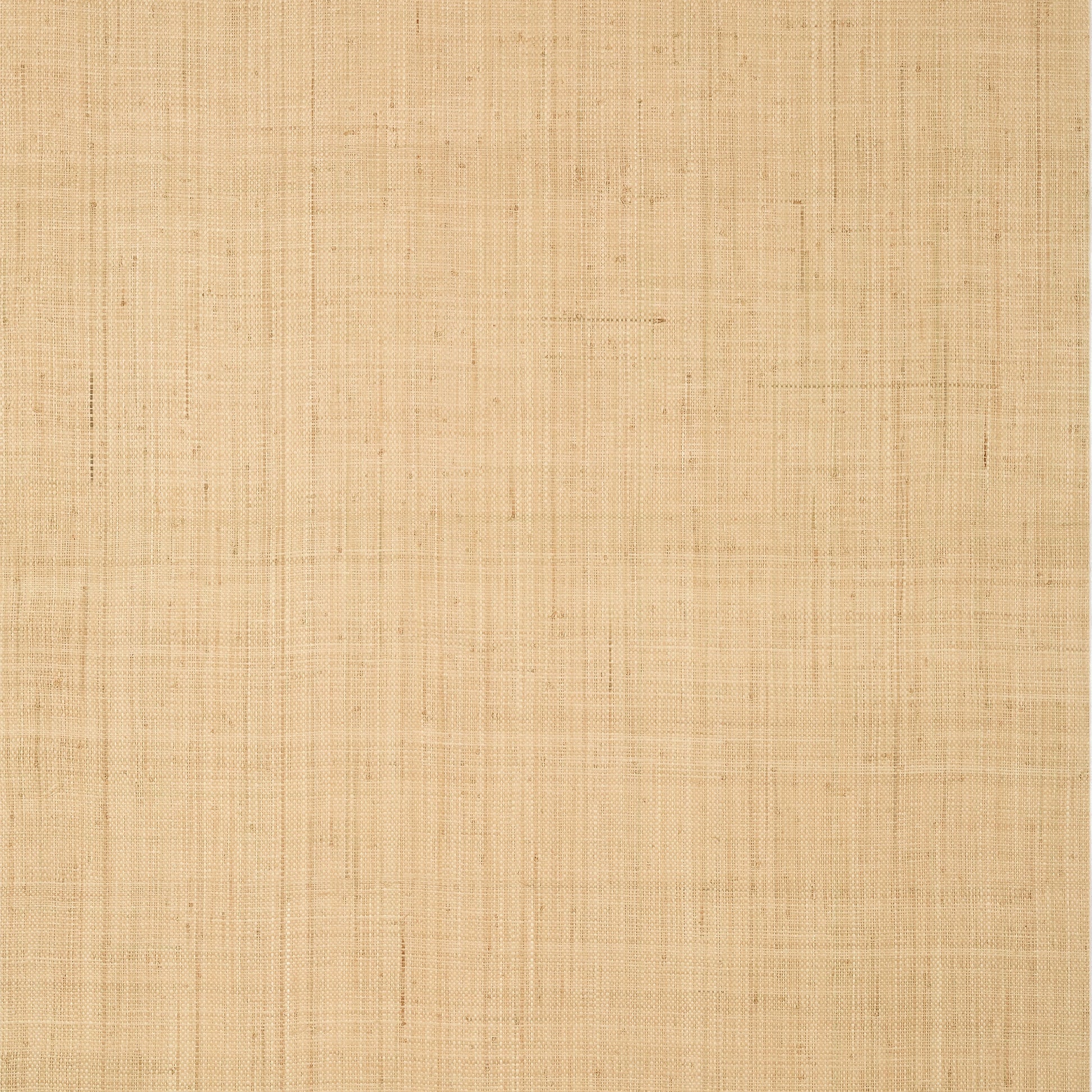 Purchase a sample of T19600 Bethany Raffia, Indienne by Thibaut Wallpaper