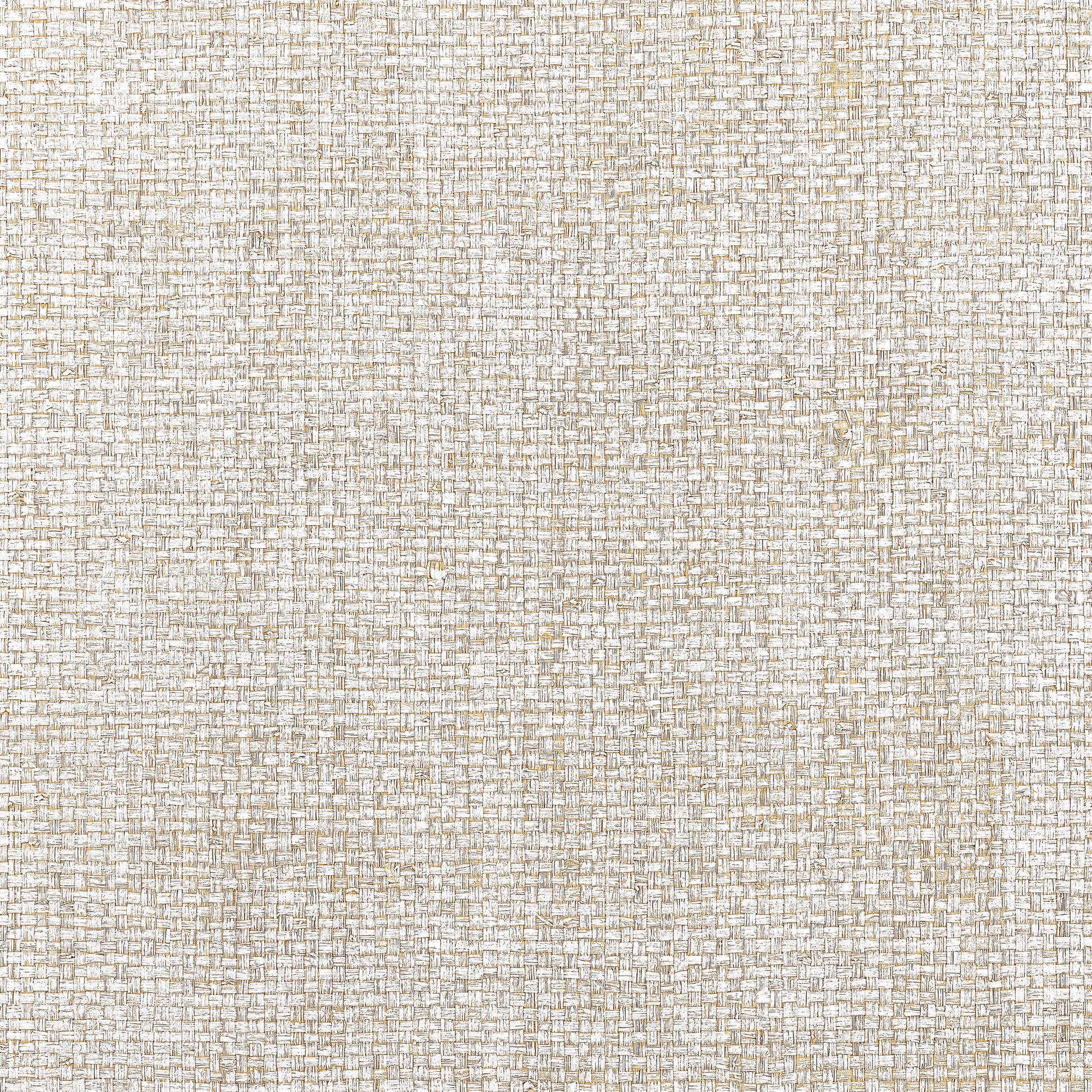 Purchase Thibaut Wallpaper Item T19604 pattern name Lauderdale color White. 