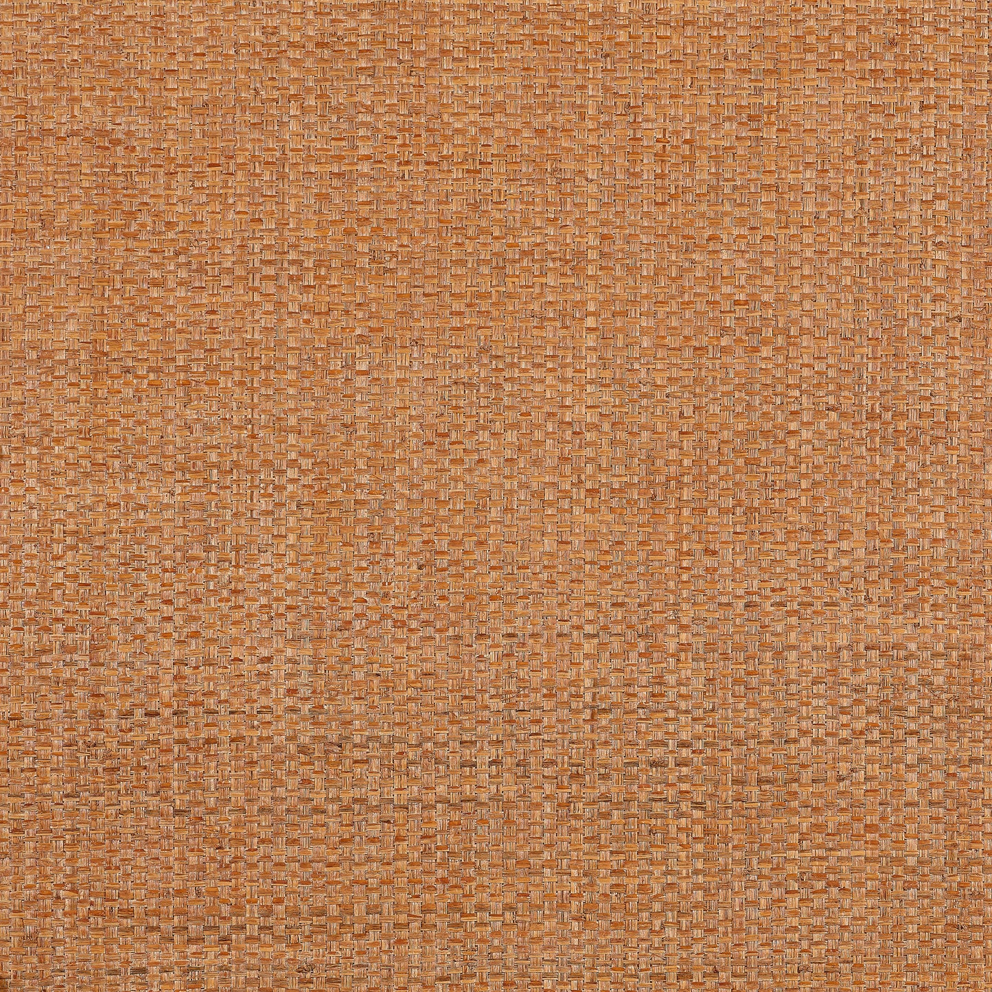 Purchase Thibaut Wallpaper Pattern number T19606 pattern name Lauderdale color Pumpkin. 