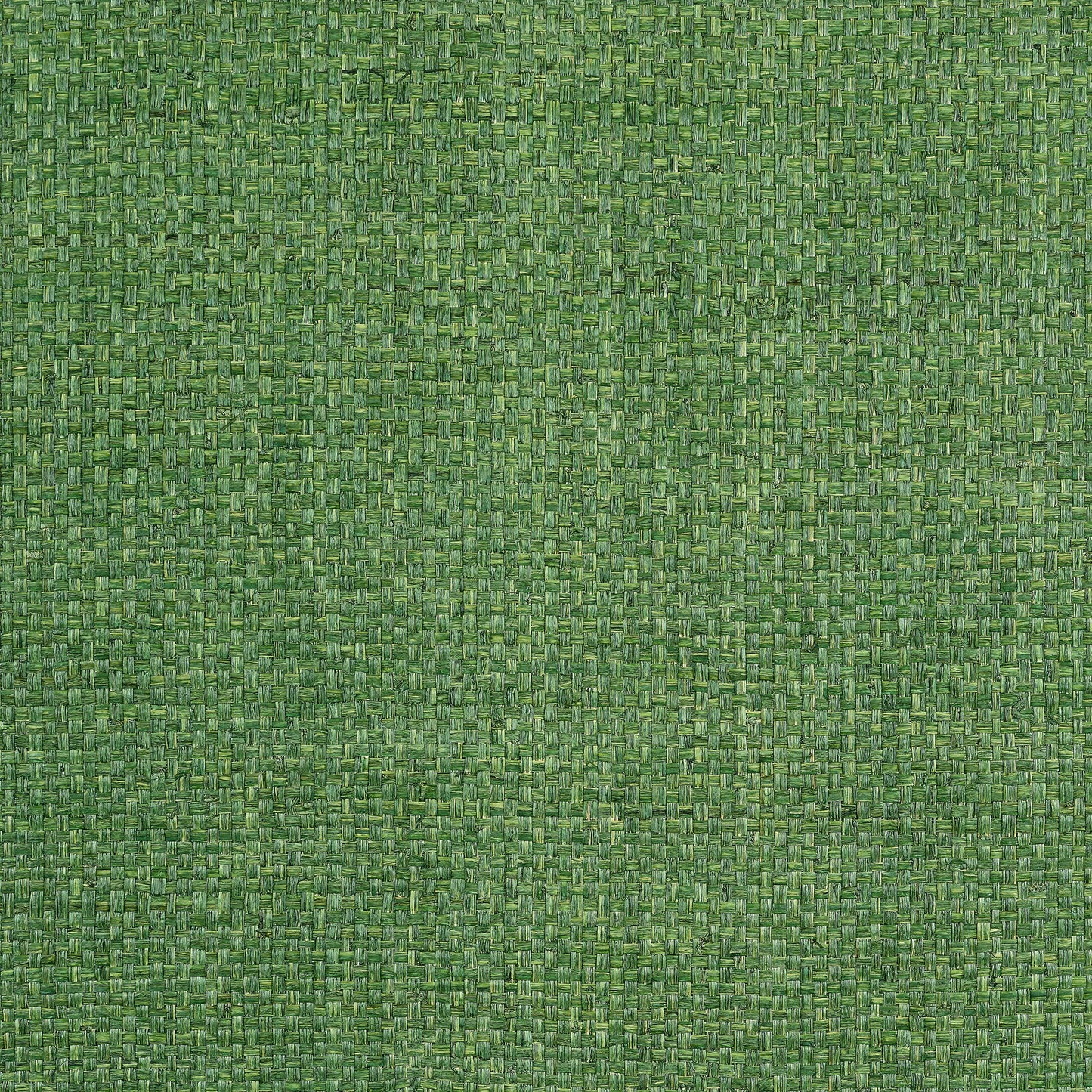 Purchase Thibaut Wallpaper Product T19607 pattern name Lauderdale color Green. 