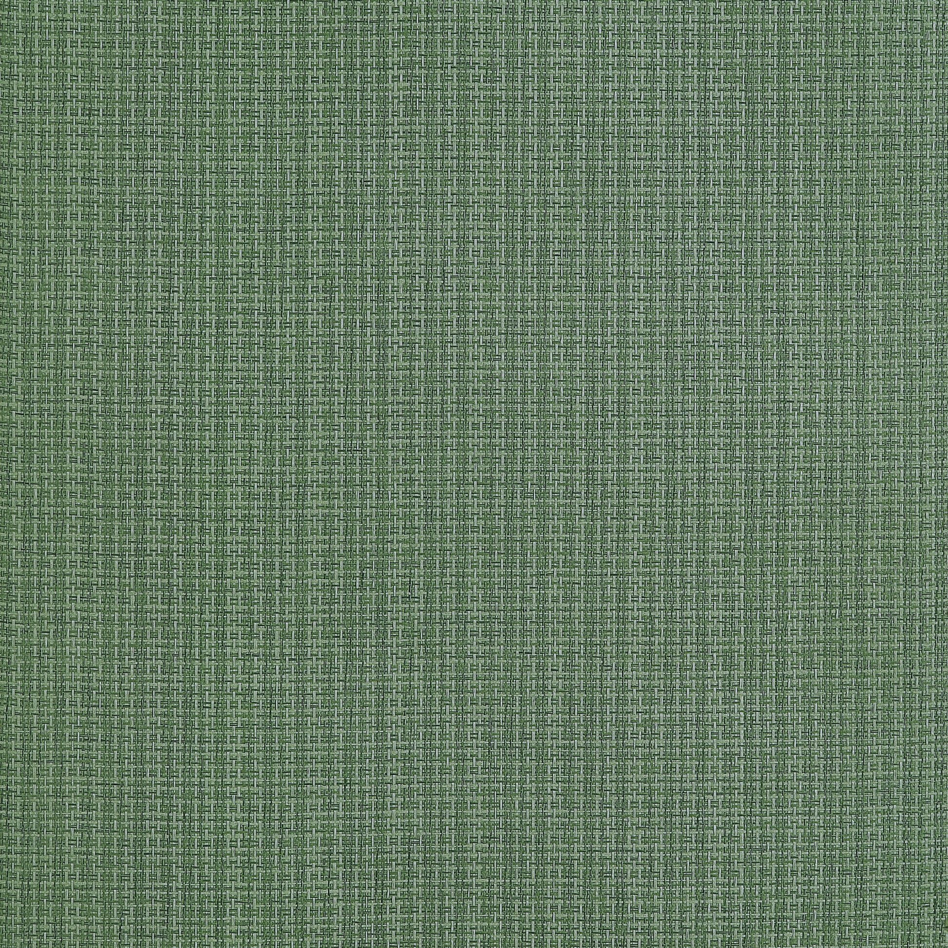 Purchase Thibaut Wallpaper Product T19630 pattern name Coastline color Spruce. 