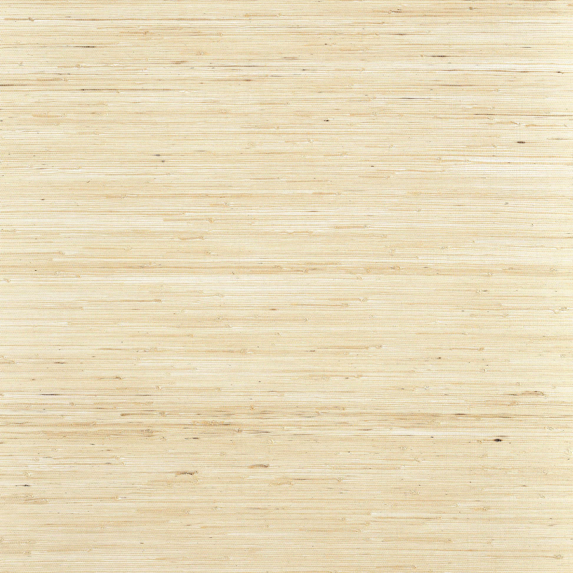 Purchase Thibaut Wallpaper Item T19653 pattern name Sydney color Paperwhite. 