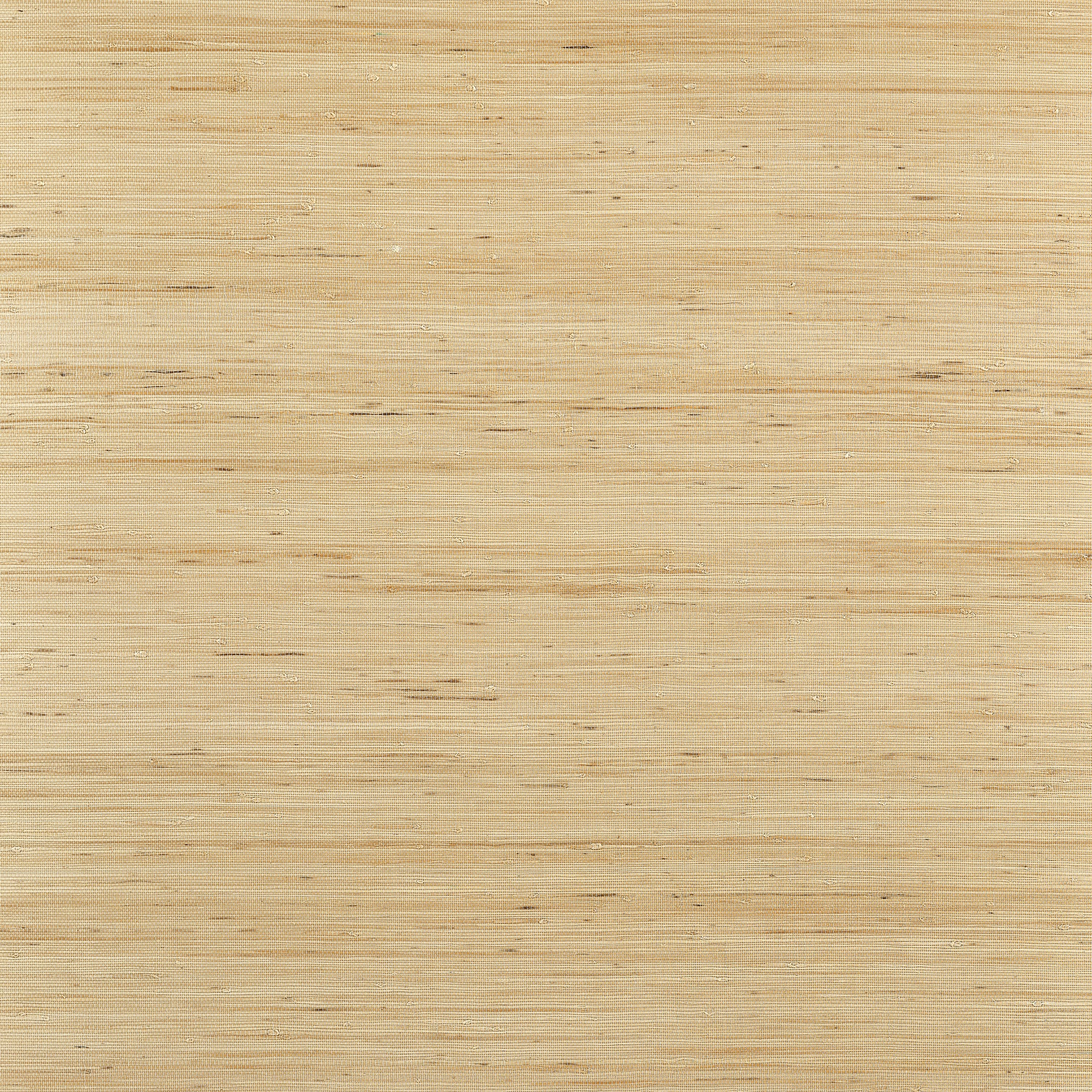 Purchase Thibaut Wallpaper SKU# T19654 pattern name Sydney color Light Taupe. 