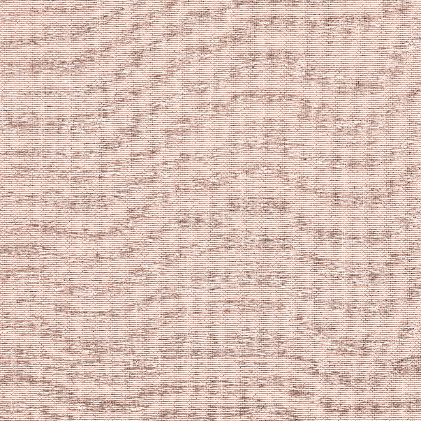 Purchase Thibaut Wallpaper Pattern number T19702 pattern name Edward'S Paper color Adobe. 