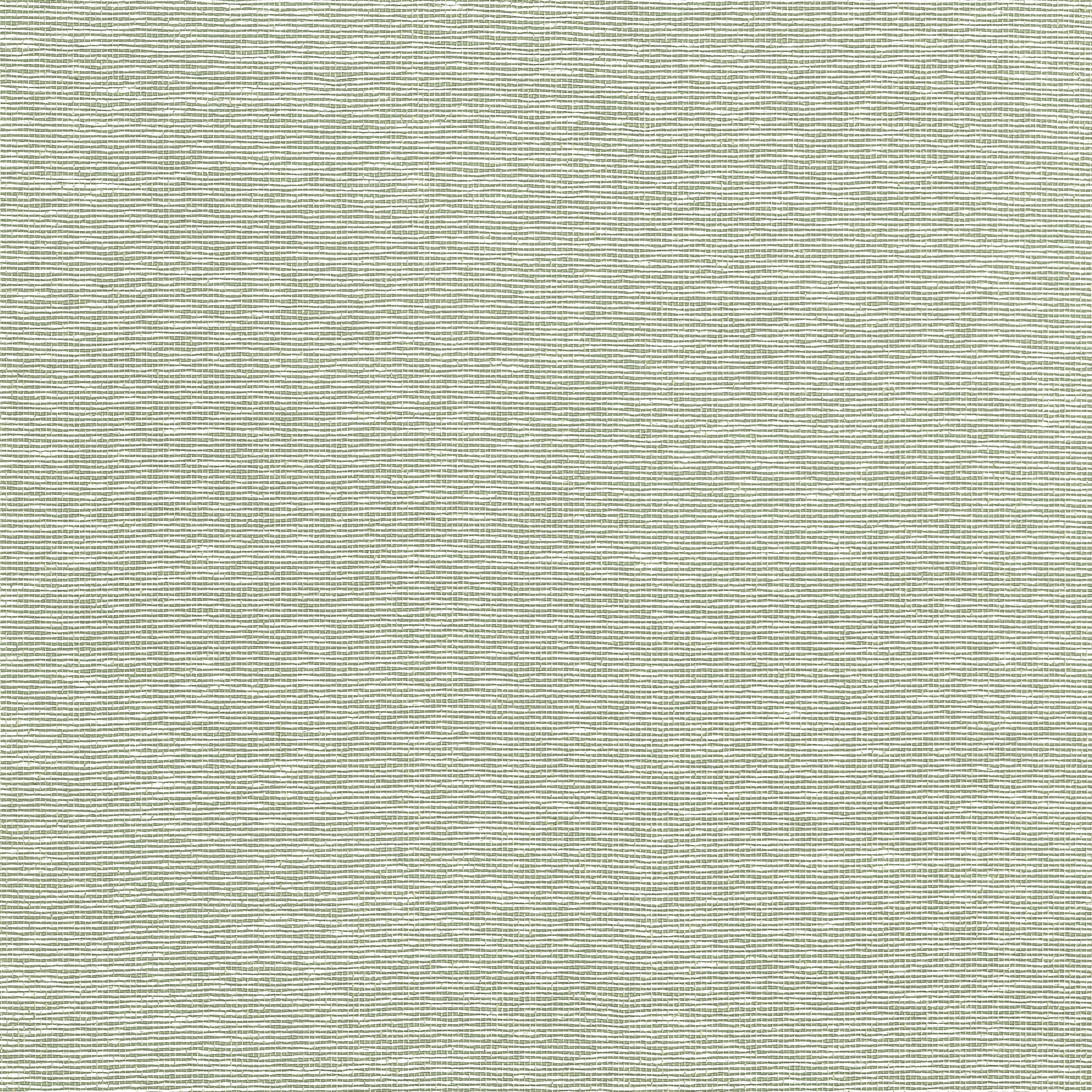 Purchase Thibaut Wallpaper Pattern T19703 pattern name Edward'S Paper color Green. 