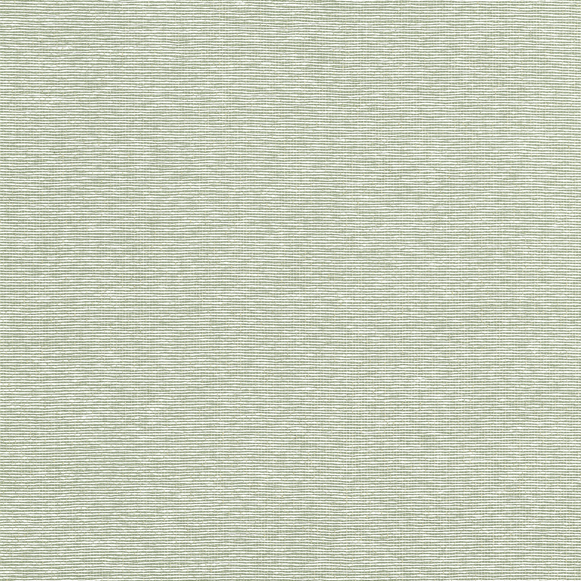 Purchase Thibaut Wallpaper Pattern T19703 pattern name Edward'S Paper color Green. 