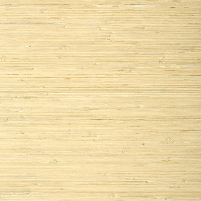 Search T24065 Raffia Palm Grasscloth Resource 5 Thibaut Wallpaper