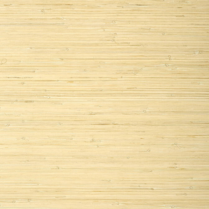 Purchase a sample of T24065 Raffia Palm, Grasscloth Resource 5 Thibaut Wallpaper