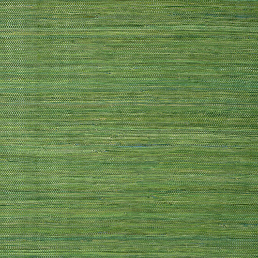 Purchase T24074 Raffia Palm Grasscloth Resource 5 Thibaut Wallpaper