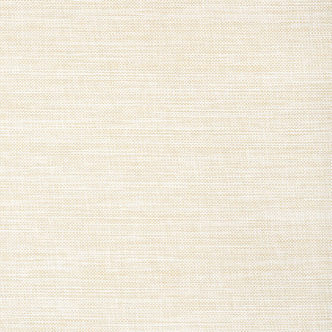 Purchase a sample of T24116 Calistoga, Grasscloth Resource 5 Thibaut Wallpaper