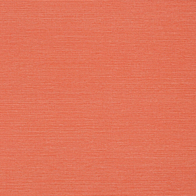 Search T289 Taluk Sisal Texture Resource 6 Thibaut Wallpaper