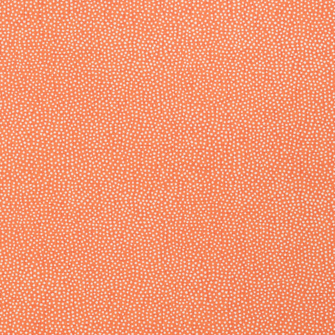 Shop T2967 Turini Dots Paramount Thibaut Wallpaper