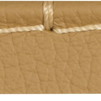 T30756.24.0 | Whip Stitch Cord, Tan Camel - Kravet Design Fabric