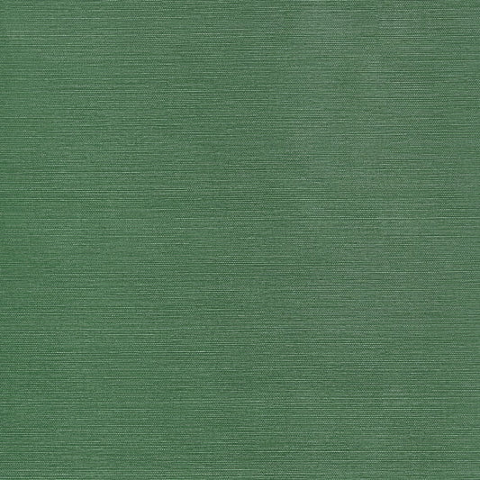 View Thibaut Wallpaper Pattern number T34039 pattern name Taluk Sisal color name Forest Green. 