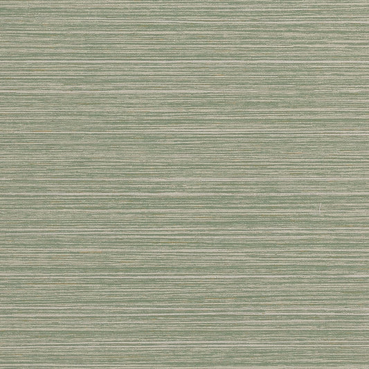 Looking for Thibaut Wallpaper Pattern# T34069 pattern name Tenaya color name Sage. 