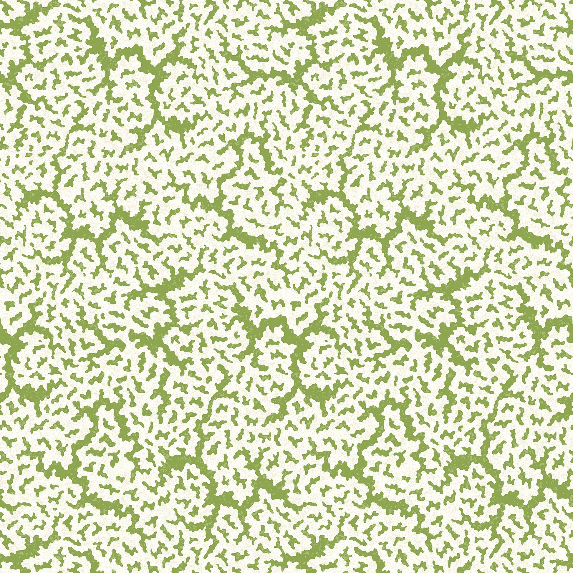 Purchase Thibaut Wallpaper Pattern# T42041 pattern name Maldives color Green. 