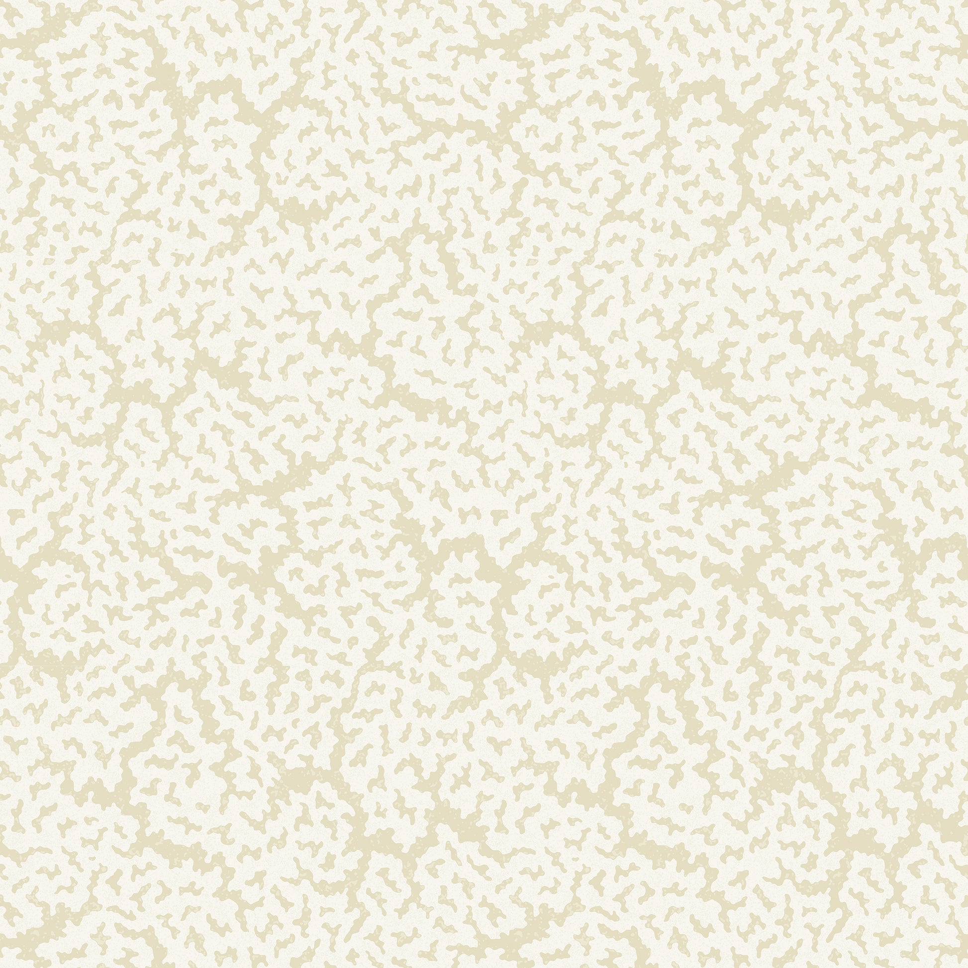 Purchase Thibaut Wallpaper Pattern T42059 pattern name Maldives color Cream. 