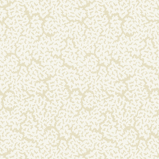 Purchase Thibaut Wallpaper Pattern T42059 pattern name Maldives color Cream. 