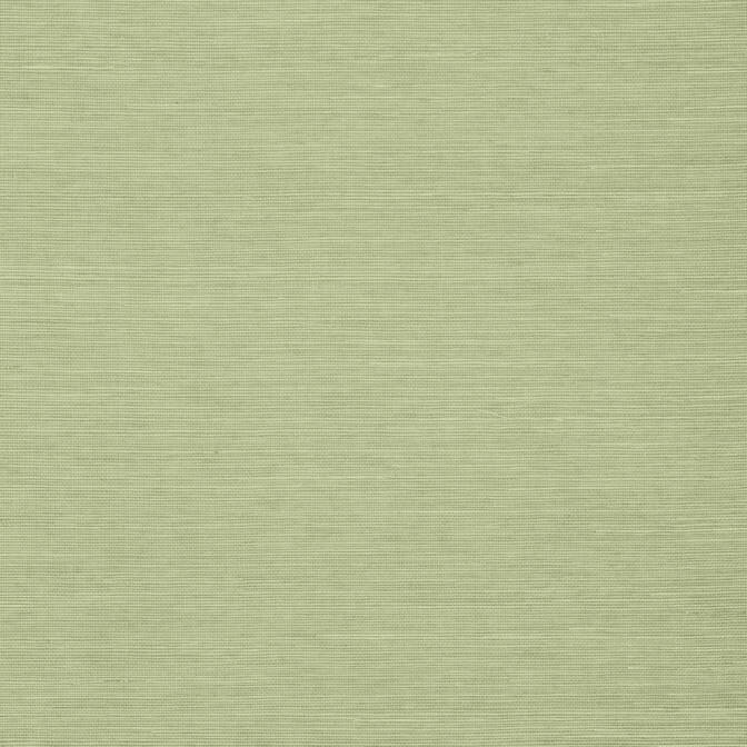 Looking T5016 Shang Extra Fine Sisal Grasscloth Resource Thibaut Wallpaper