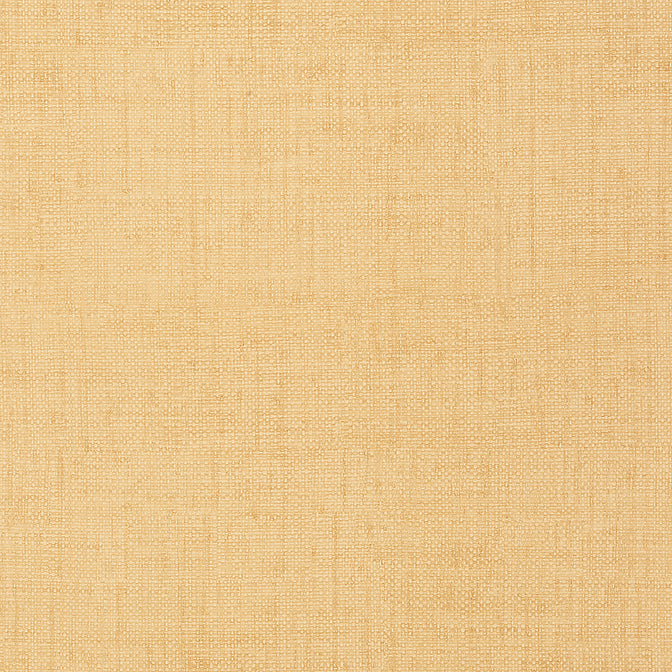 Find T6813 Bankun Raffia Texture Resource 3 Thibaut Wallpaper