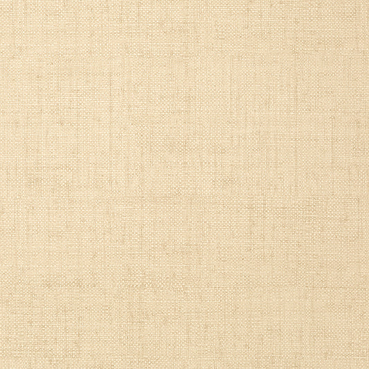 Looking T6814 Bankun Raffia Texture Resource 3 Thibaut Wallpaper
