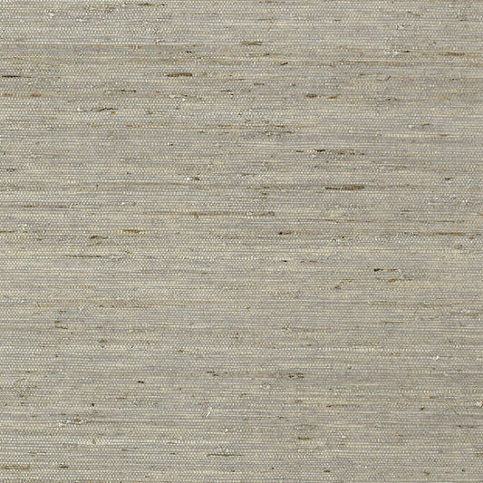 Order T85005 Maranta Arrowroot Greenwood Thibaut Wallpaper
