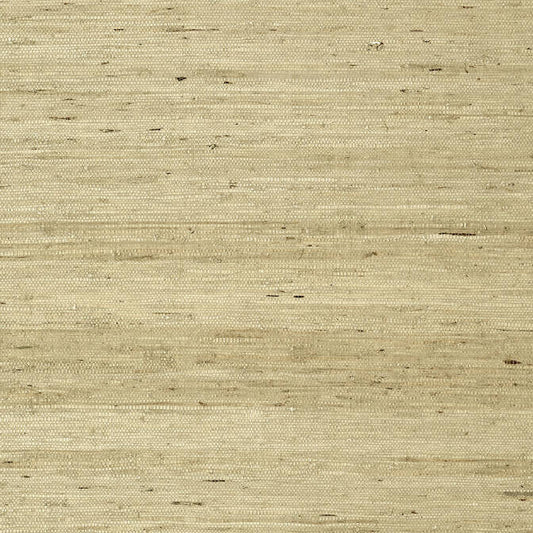 Purchase T85006 Maranta Arrowroot Greenwood Thibaut Wallpaper