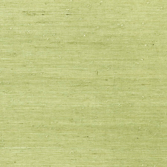 Acquire T85012 Maranta Arrowroot Greenwood Thibaut Wallpaper