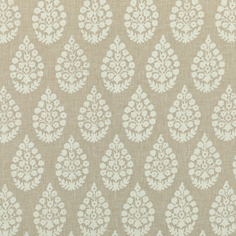 Sample - Tajpaisley.16.0 | Kravet Basics, L'Indienne Collection - Kravet Basics Fabric