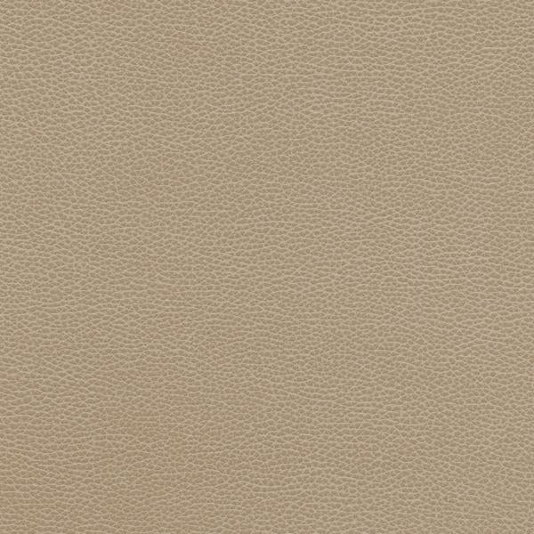 Sample - Tannin.11.0 | Kravet Design, Faux Leather Iv - Kravet Design Fabric