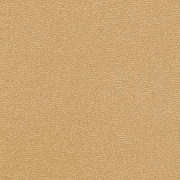 Purchase Tannin.16.0 Kravet Design, Faux Leather Iv - Kravet Design Fabric
