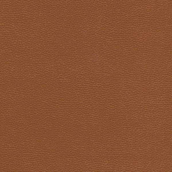 Sample - Tannin.6.0 | Kravet Design, Faux Leather Iv - Kravet Design Fabric