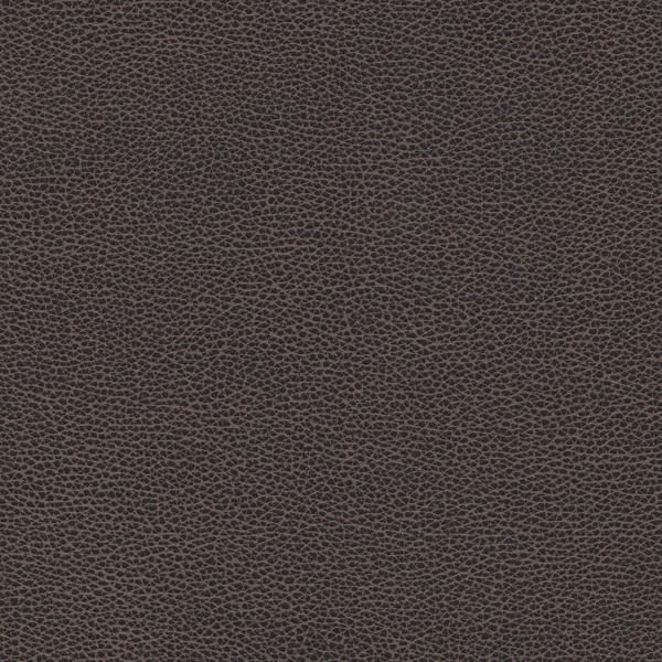 Sample - Tannin.8.0 | Kravet Design, Faux Leather Iv - Kravet Design Fabric