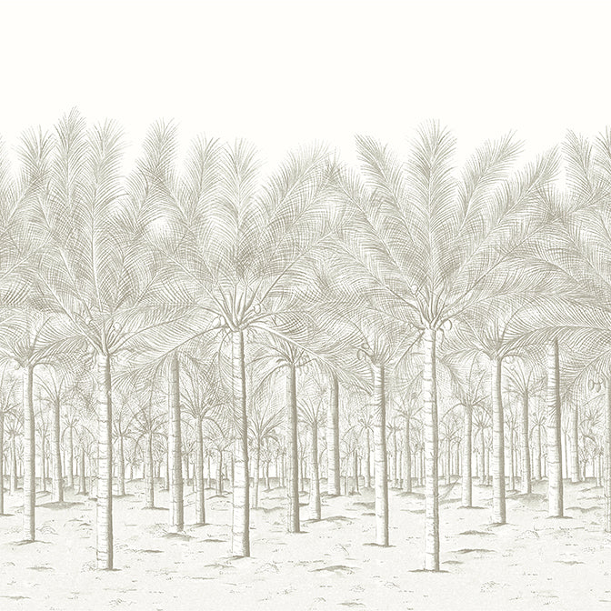 Purchase  TM13948 PALM GROVE MURAL, Palm Grove by Thibaut Wallpaper