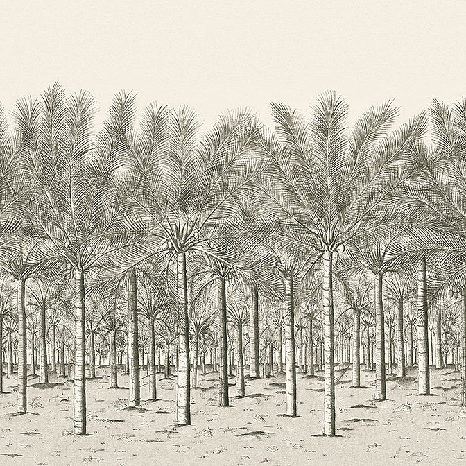 Purchase  TM13950 PALM GROVE MURAL, Palm Grove by Thibaut Wallpaper