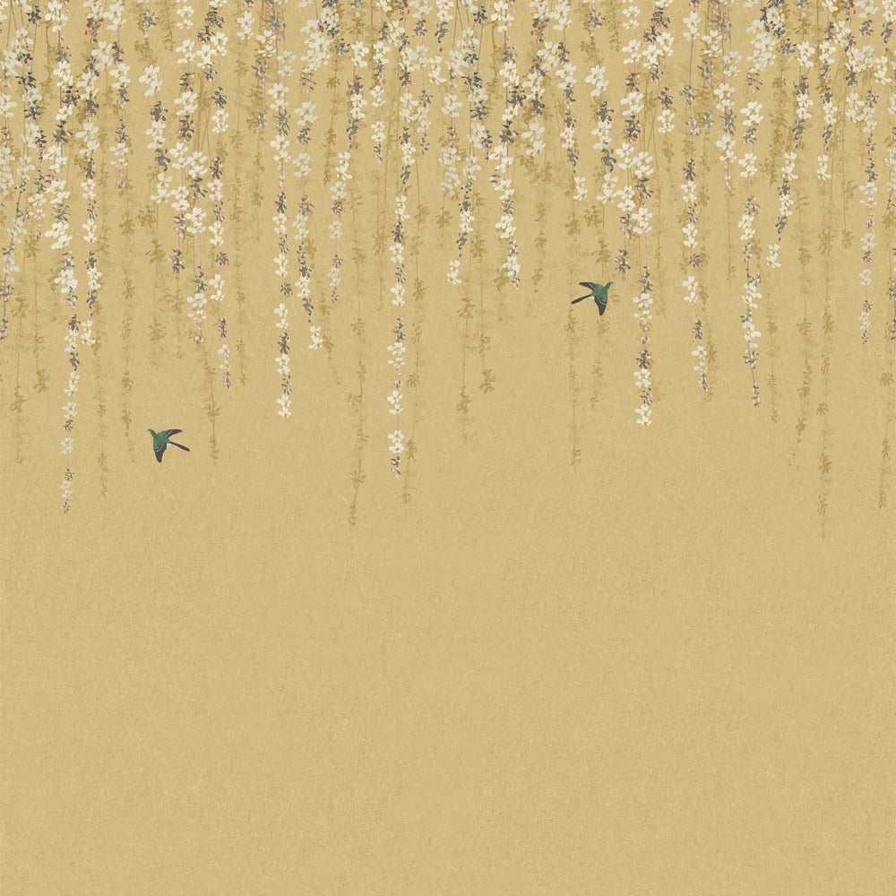 Looking for Thibaut Wallpaper SKU# TM24452 pattern name Blossom Mural color name Gold. 