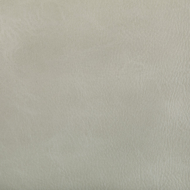 Purchase Toni.101.0 Toni,  - Kravet Contract Fabric