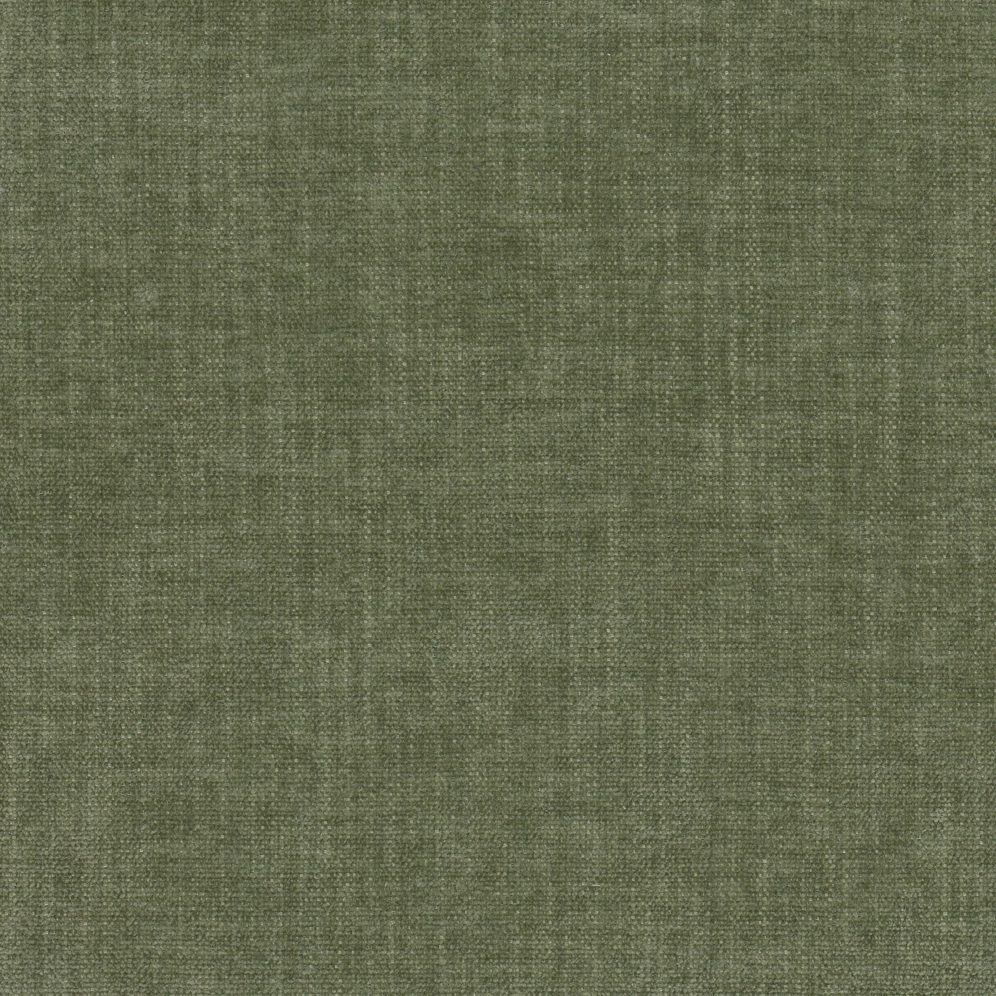 Purchase Stout Fabric SKU# Trevor 1 Fern