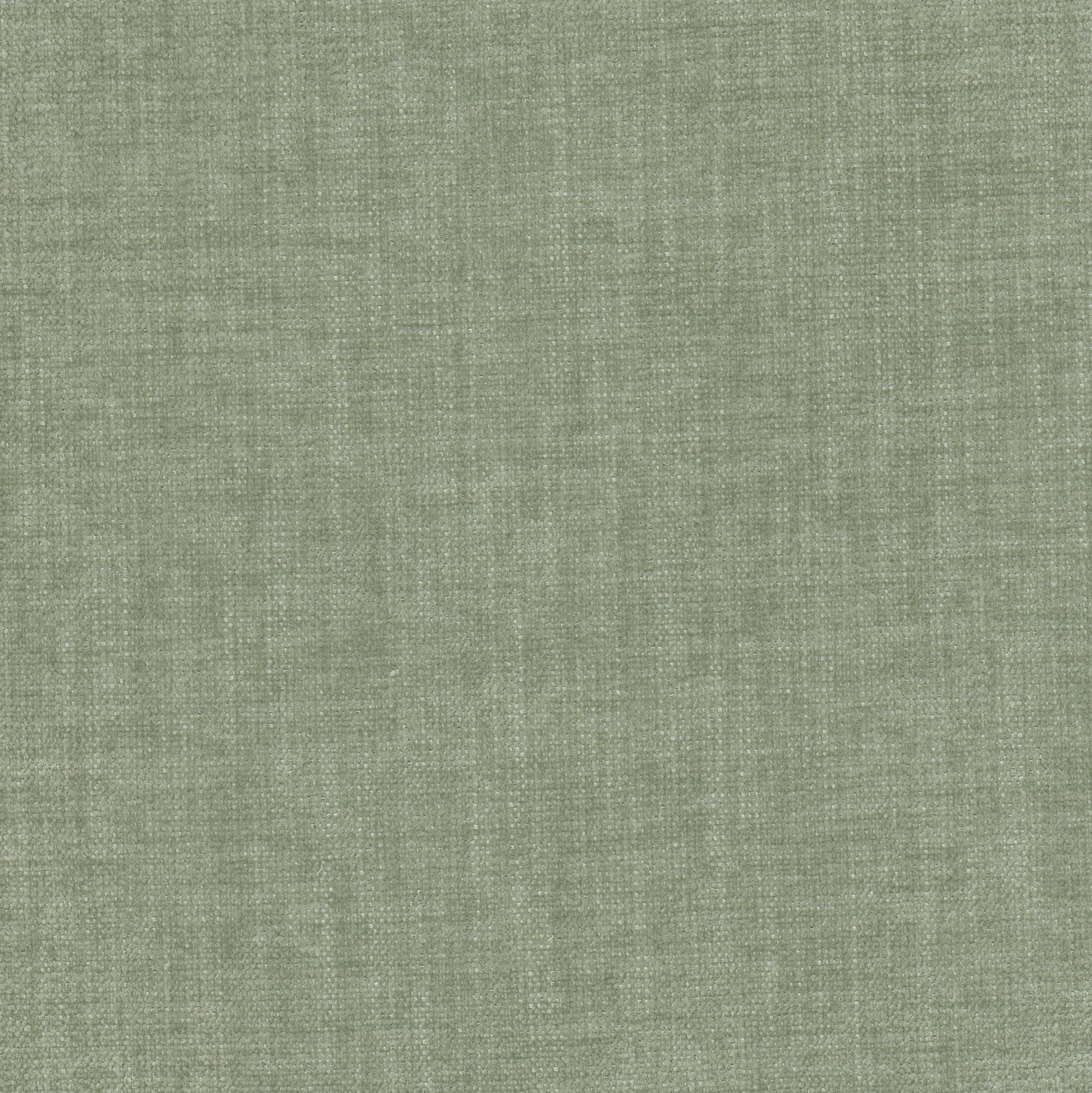 Purchase Stout Fabric Item Trevor 2 Aloe