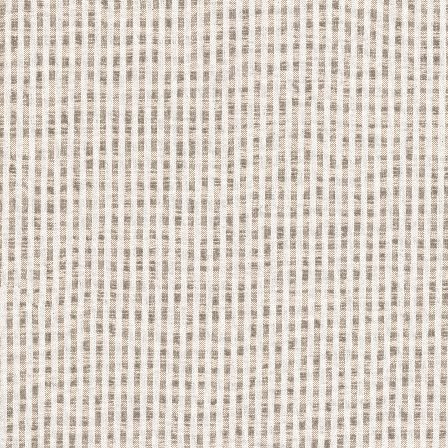 Purchase Stout Fabric SKU Trilogy 2 Toast