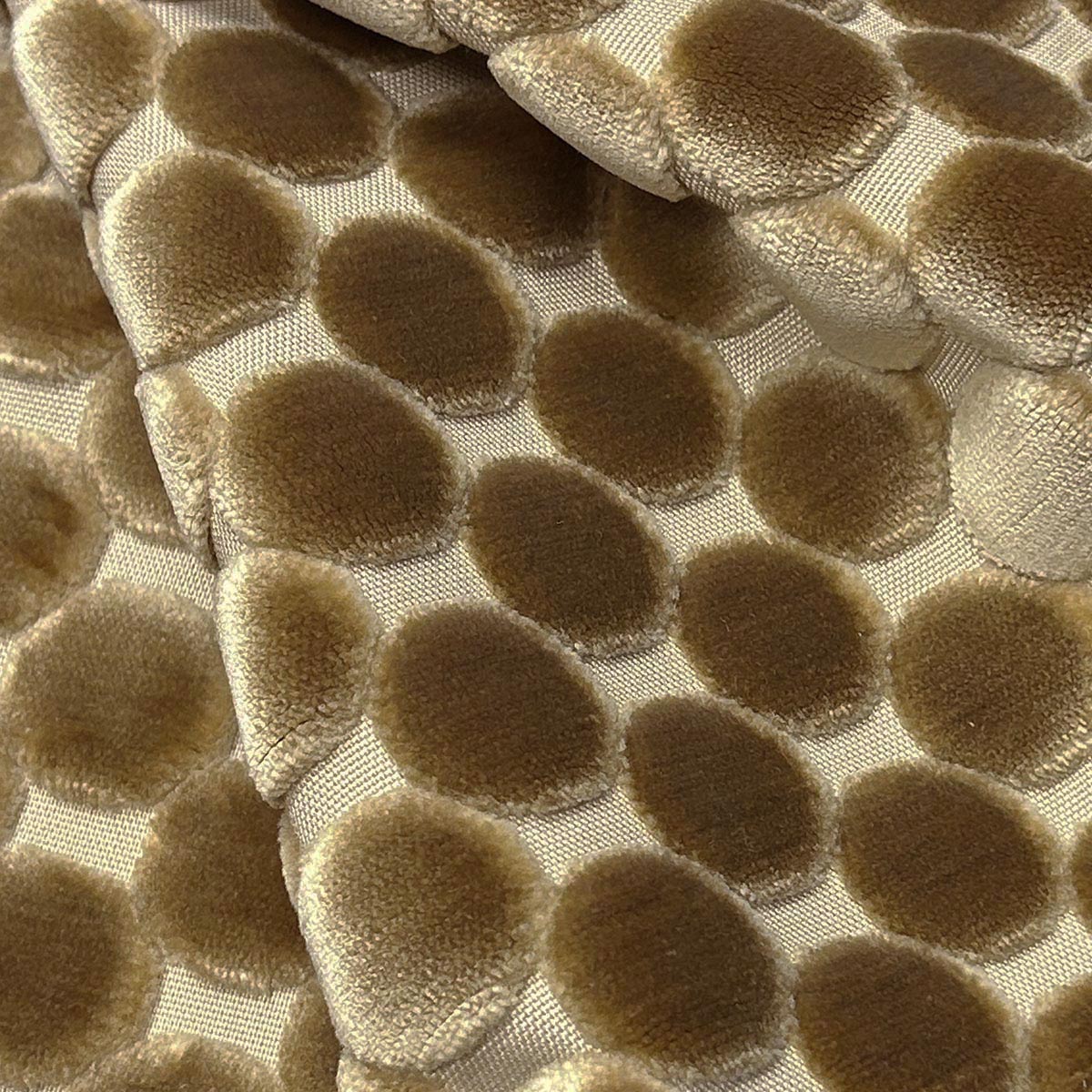 Purchase Mag Fabric Item# 11861 pattern name Trodo Coin