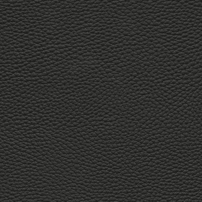 Tebessa-Nj | # 141 Onyx - Maxwell Fabric