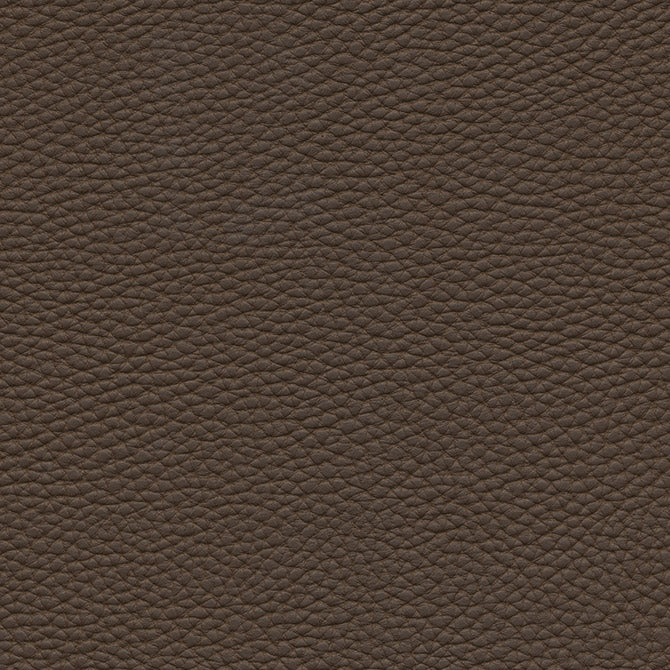 Tebessa-Nj | # 143 Twig - Maxwell Fabric