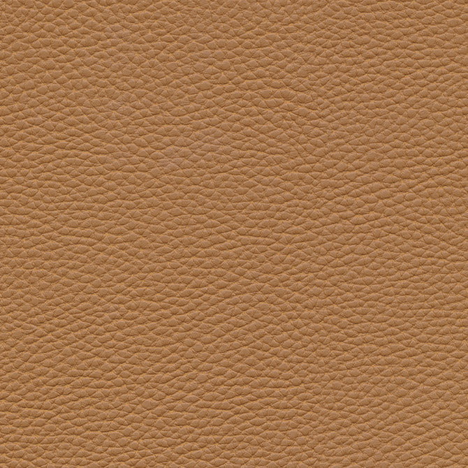 Purchase Maxwell Fabric - Tebessa-Nj, # 150 Pinto