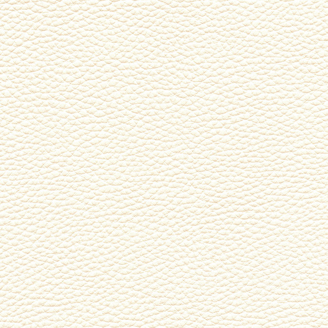 Purchase Maxwell Fabric - Tebessa-Nj, # 151 Ivory