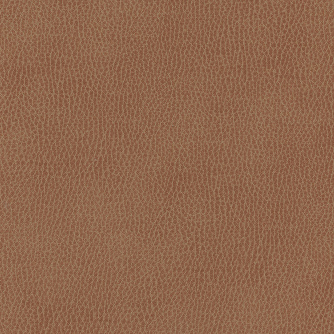 Purchase Maxwell Fabric - Top Grain-Nj, # 839 Arabian