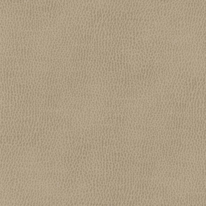 Purchase Maxwell Fabric - Top Grain-Nj, # 848 Konik