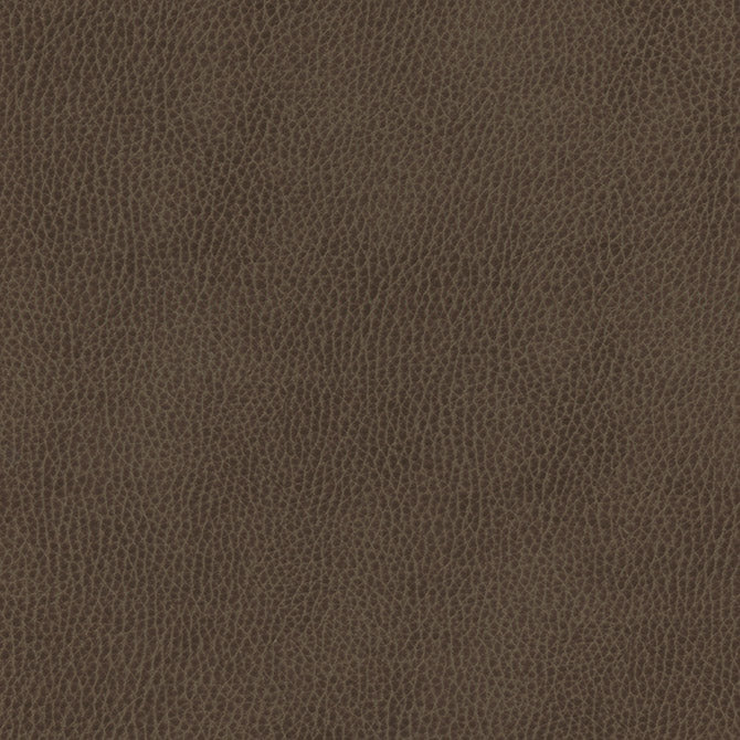 Purchase Maxwell Fabric - Top Grain-Nj, # 852 Pencil