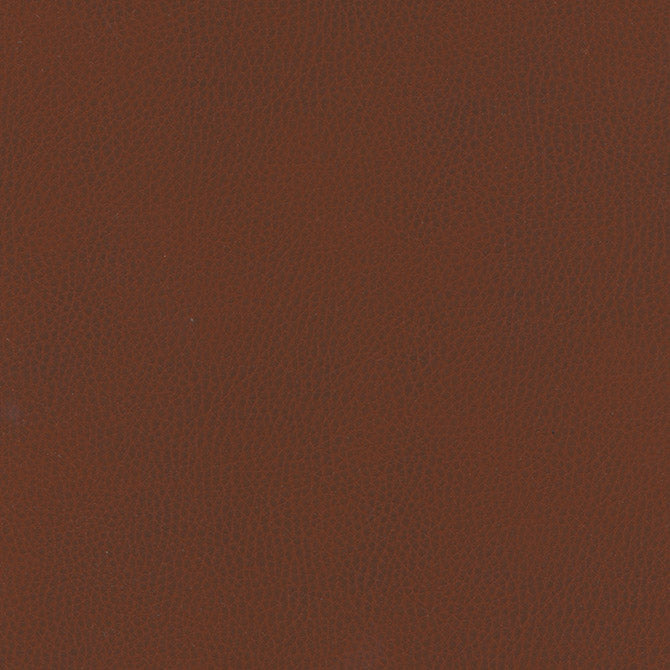 Purchase Maxwell Fabric - Top Grain-Nj, # 853 Kutcha