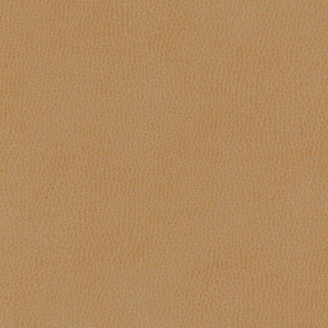 Purchase Maxwell Fabric - Top Grain-Nj, # 854 Sourdough